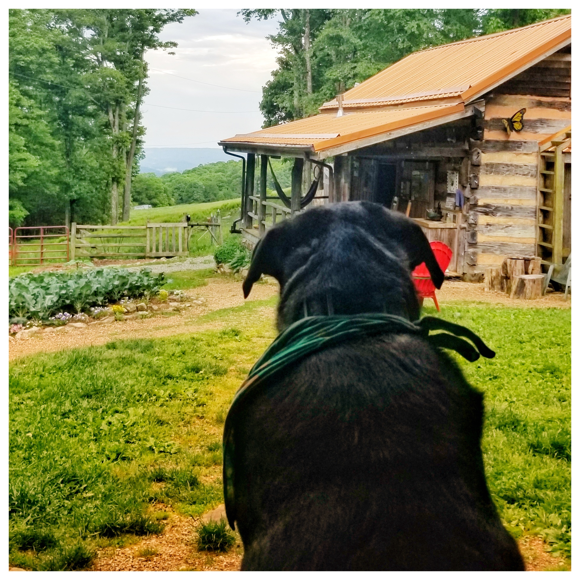 porch view